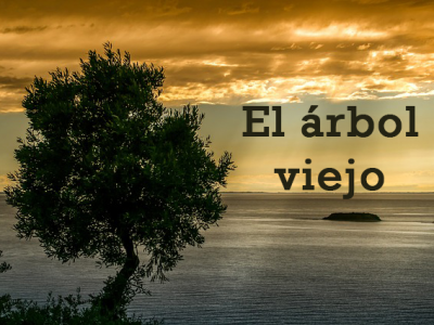 El árbol Viejo