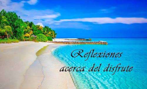 Reflexiones  acerca del disfrute